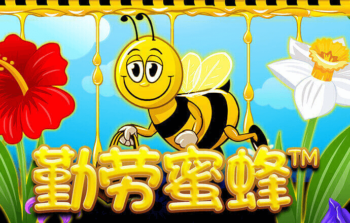 biwin体育
